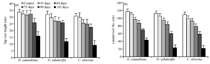 Image for - Effect of Different Waterlogging Regimes on Growth, Some Yield and Roots Development Parameters in Three Fiber Crops (Hibiscus cannabinus L., Hibiscus sabdariffa L. and Corchorus olitorius L.)
