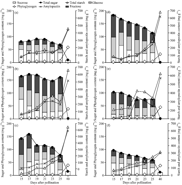 Image for - Carbohydrate Characters of Six Vegetable Waxy Corn varieties as Affected by Harvest Time and Storage Duration