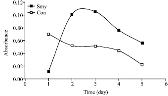 Image for - In vitro Antimicrobial and Antioxidant Properties of Smyrnium cordifolium Boiss. (Umbelliferae) Extract