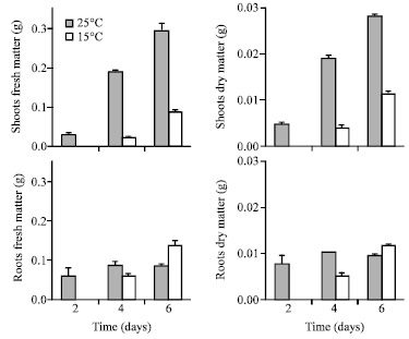 Image for - Effect of Temperature on Root and Shoot Development in Wheat Seedlings during Early Growth Stage