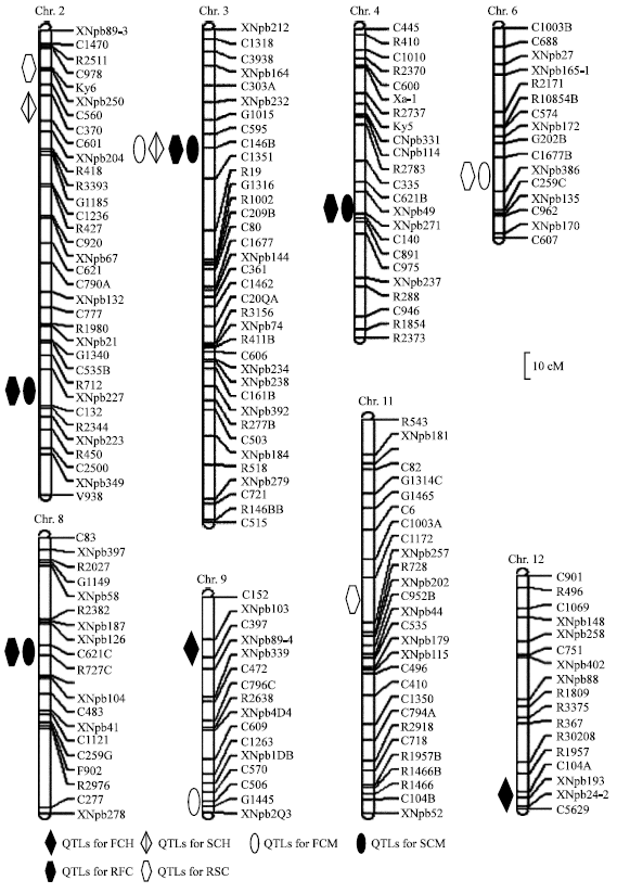 Image for - Mapping Quantitative Trait Loci Associated with Leaf Senescence During Maturation of Rice (Oryza sativa L.)