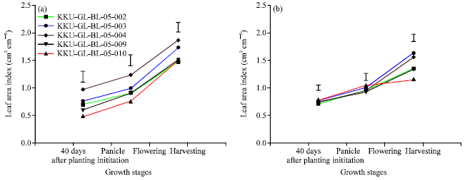 Image for - The Effect of Different Fertilizers Management Strategies on Growth and Yield of Upland Black Glutinous Rice and Soil Property
