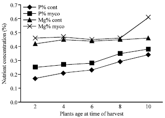 Image for - Growth Response of Sweet Corn (Zea mays) to Glomus mosseae Inoculation over Different Plant Ages