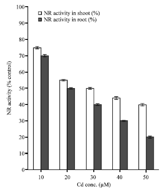 Image for - Changes in Activities of Nitrogen Metabolism Enzymes in Cadmium Stressed Marrow Seedlings