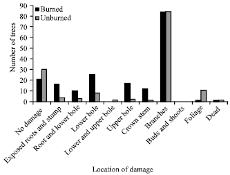 Image for - Impacts of Fire on SouthEast Asia Tropical Forests Biodiversity: A Review
