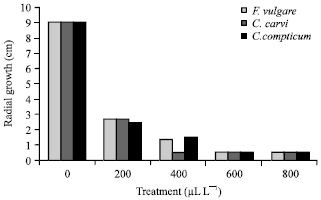 Image for - In vitro and in vivo Antifungal Activities of Three Essential Oils Against Grey Mould Disease in Cucumber (Cucumis sativus)