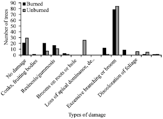 Image for - Impacts of Fire on SouthEast Asia Tropical Forests Biodiversity: A Review