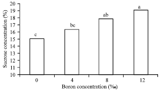 Image for - Effect of Time and Concentration of Boron Foliar Application on Yield and Quality of Sugar Beet