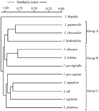 Image for - Congruence Between Morphological and Molecular Approach in Understanding Species Relationship in Ipomoea spp.: A Rare Event in Taxonomy