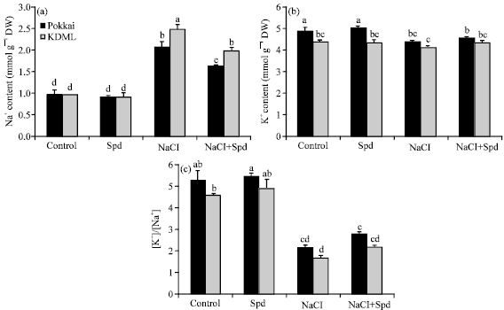 Image for - Pretreatment with Spermidine Reverses Inhibitory Effects of Salt Stress in Two Rice (Oryza sativa L.) Cultivars Differing in Salinity Tolerance