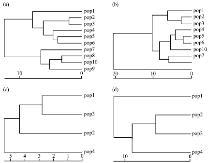 Image for - Population Structure and Genetic Diversity of the Rare and Endangered Sinocalamus  mucclure and Markhamia stipulata in Ba Be National Park, Vietnam