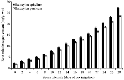 Image for - The Effect of Drought Stress on Soluble Carbohydrates (Sugars) in Two Species of Haloxylon persicum and Haloxylon aphyllum