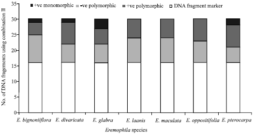 Image for - Identification of DNA Markers with the Intention of Discriminate between Seven Eremophila Species Cultivated at Makah Al Mukaramah Region, Saudi Arabia
