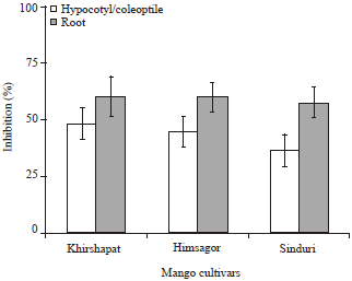 Image for - Evaluation of Allelopathic Activity of Three Mango (Mangifera indica)  Cultivars