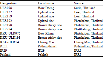 Image for - Identification of Salt Tolerance in Thai Indigenous Rice on the Basis of the Na/K Ratio and Salt Stress Responses