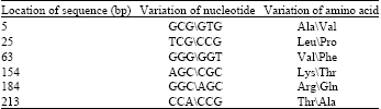 Image for - Molecular Characterization of Waxy Gene in Aegilops tauschii