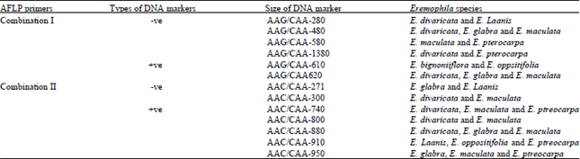 Image for - Identification of DNA Markers with the Intention of Discriminate between Seven Eremophila Species Cultivated at Makah Al Mukaramah Region, Saudi Arabia