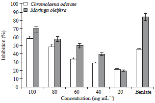 Image for - Phytochemical Constituents and Antifungal Properties of Chromolaena odorata L. and Moringa oleifera Lam on Fungal Rot of Cucumber (Cucumis sativus L.) Fruit