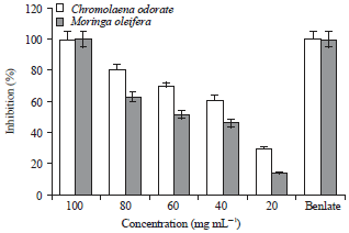 Image for - Phytochemical Constituents and Antifungal Properties of Chromolaena odorata L. and Moringa oleifera Lam on Fungal Rot of Cucumber (Cucumis sativus L.) Fruit