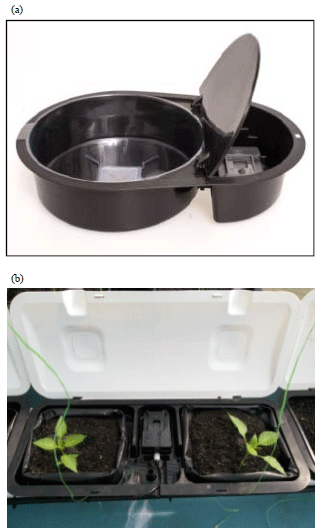 Image for - Impact of Water Use on Paprika (Capsicum annum) by Using Fertigation and Autopot System Combined with Numerous Growing Media
