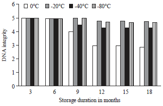 Image for - Standardization of Long Term DNA Storage and DNA Banking Methods for Conservation of Saudi Date Palm (Phoenix dactylifera L.) Genetic Diversity