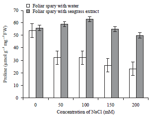 Image for - Evaluation of Seagrass Liquid Extract on Salt Stress Alleviation in Tomato Plants