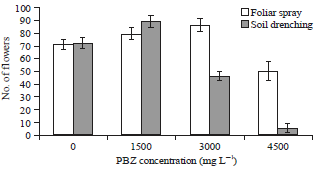 Image for - Gas Exchange, Growth and Flowering of Lagerstroemia indica Treated with Different Concentration and Application Techniques of Paclobutrazol