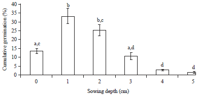 Image for - Effect of Temperature, Light and Sowing Depth on Seed Germination of Celosia argentea L.