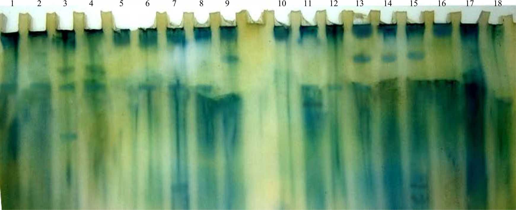 Image for - Signal Molecules Improving Growth, Yield and Biochemical Aspects of Wheat Cultivars under Water Stress