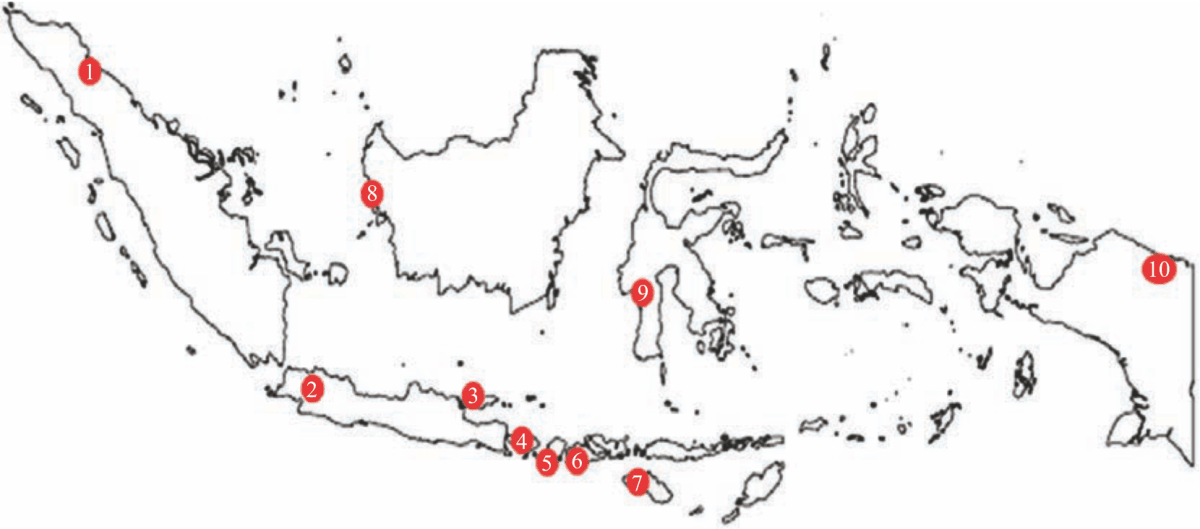 Image for - Molecular and Morphological Analysis of Indonesian Drumstick Tree (Moringa oleifera Lam.)