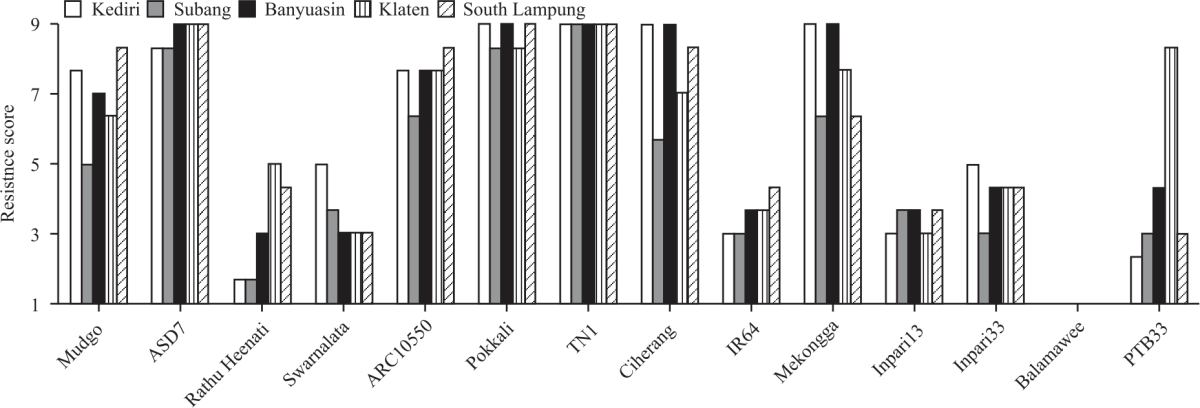 Image for - Genotypic Variation in Virulence Level of Several Brown Planthopper (Nilaparvata lugens Stål) Populations of Rice (Oryza sativa L.)