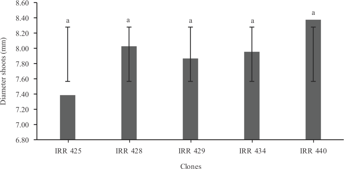 Image for - Estimated Compatibility of IRR 400 Series as Promising Rubber Clones with GT1 Rootstock Based on Growth Characters