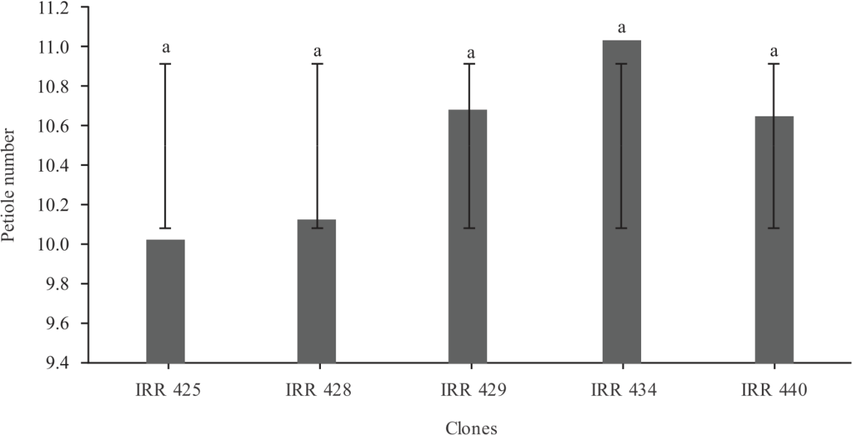 Image for - Estimated Compatibility of IRR 400 Series as Promising Rubber Clones with GT1 Rootstock Based on Growth Characters
