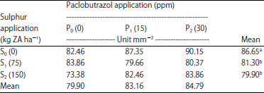 Image for - Production and Physiological Characteristics Evaluation of Shallot (Allium ascalonicum L.) Lokananta Varieties via Sulphur and Paclobutrazol Application