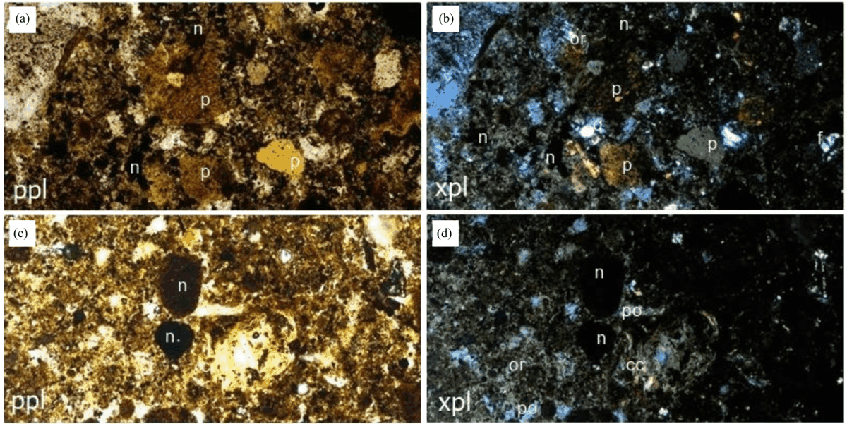 Image for - Soil Micromorphology of Land Cover in Landslide Susceptibility Area in Kelara Subwatershed, Jeneponto, Indonesia