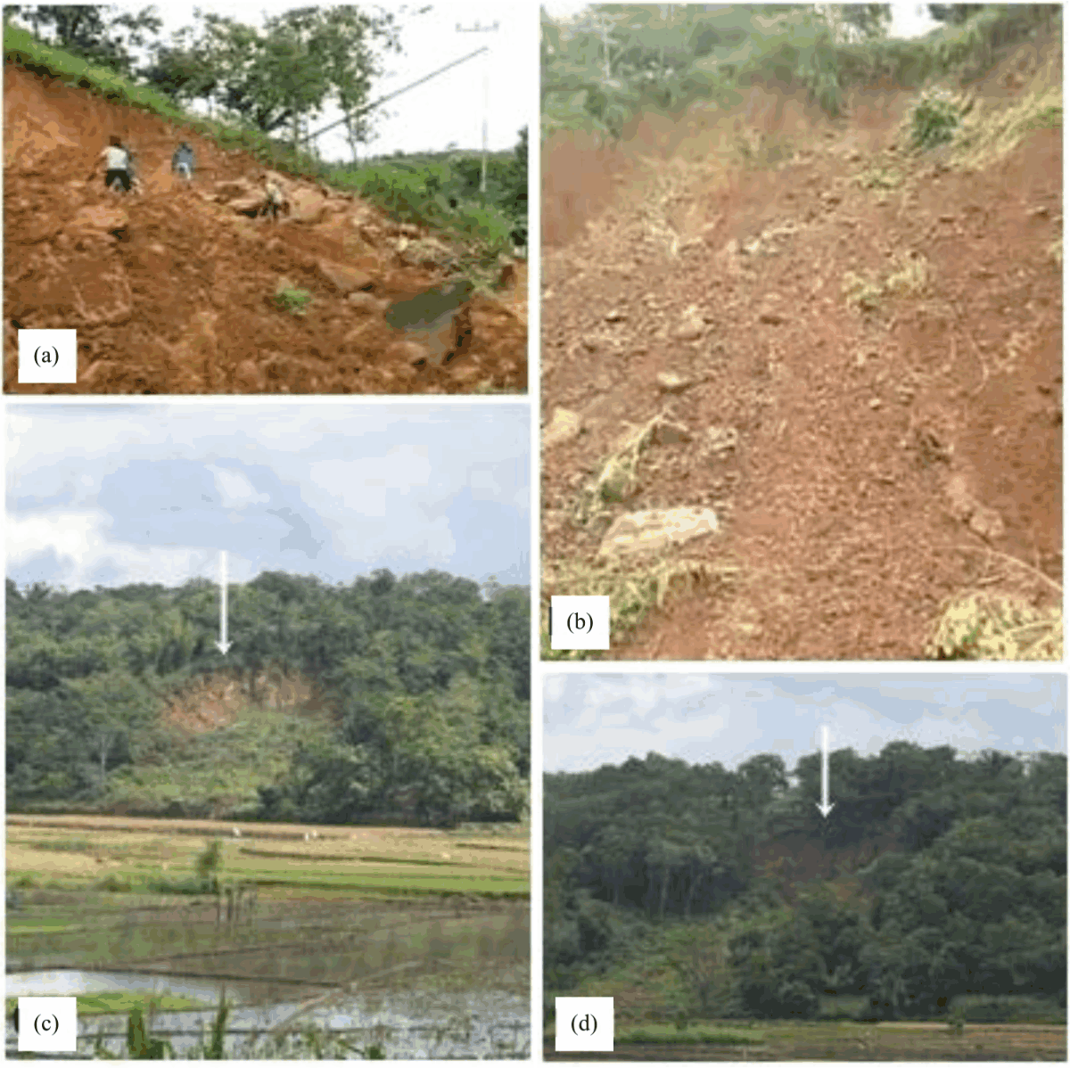 Image for - Soil Micromorphology of Land Cover in Landslide Susceptibility Area in Kelara Subwatershed, Jeneponto, Indonesia
