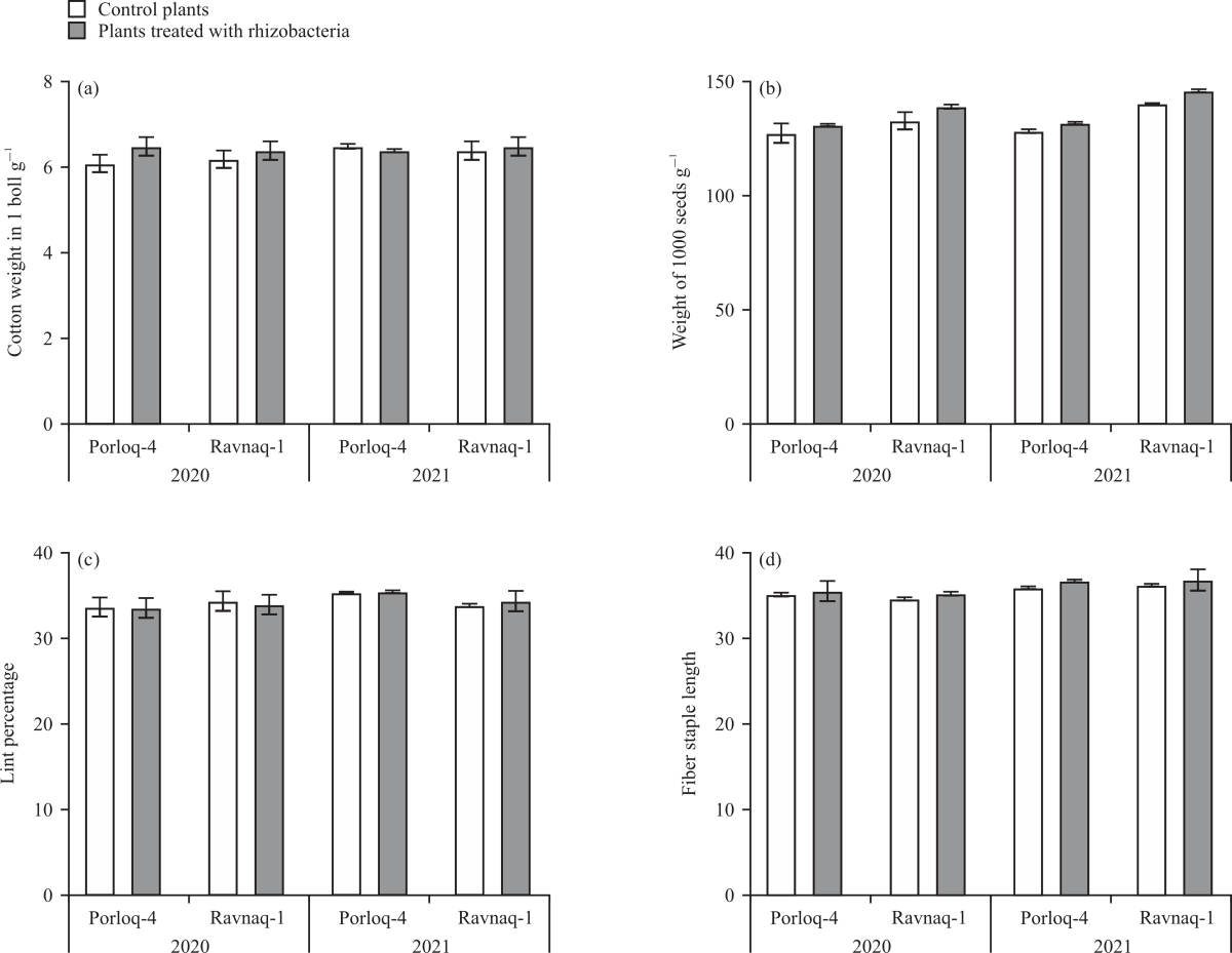 Image for - Effects of Rhizobacteria on Agronomic Traits of Two Gossypium hirsutum Cotton Varieties