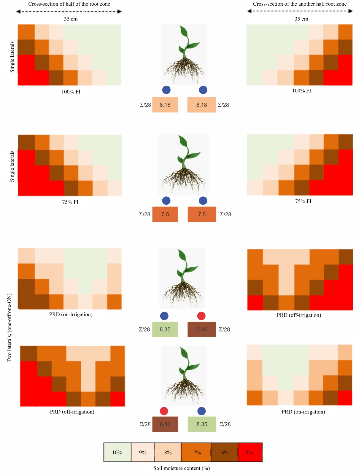 Image for - Performance of Partial Root-Zone Drying Technique on Yield, Water Productivity and Quality of Cucumber