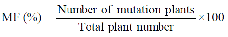 Image for - Effect of Ethyl Methane Sulfonate on the Mutants Inducement in Balsam Plants (Impatiens balsamina Linn.)
