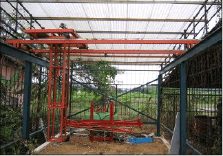Image for - Development of an Automated Transplanter for the Gantry System