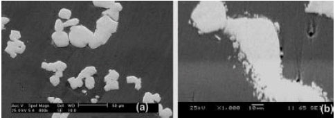 Image for - The Study of Properties of WC-Based and W-Based Composites Fabricated by Infiltration with Liquid Cu-Mn Binder