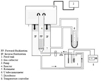 Image for - A Hybrid Biological Reactor for Biogas Production from Distillery Wastewater