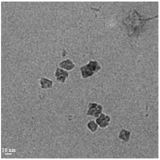Image for - One-pot Synthesis of Oil Dispersible Ultra Fine Manganese (II) Oxide Nanoparticles