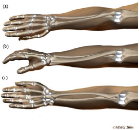 Image for - SMA Actuation for Wrist Motion with Split-tube Flexures