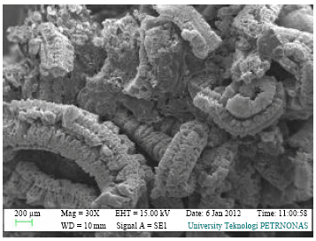 Image for - Effect of Inorganic Fillers on Thermal Performance and Char Morphology of Intumescent Fire Retardant Coating