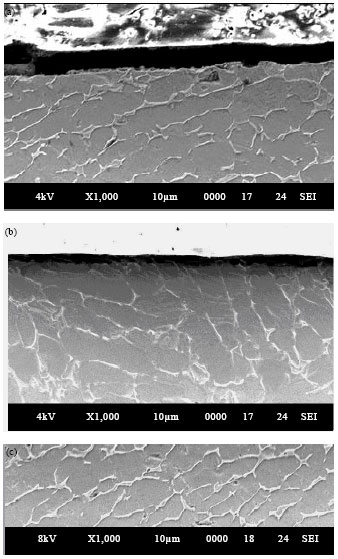 Image for - Surface Integrity in End Milling Titanium Alloy Ti-6Al-4V under HeatAssisted Machining