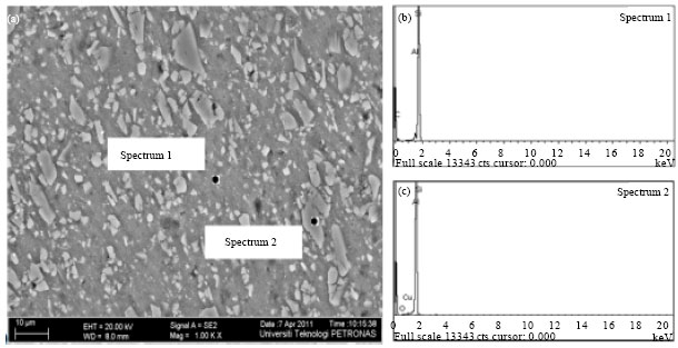 Image for - Study of Physical and Mechanical Properties of Aluminum 6092/SiC25p/t6  friction Stir Welded Plate
