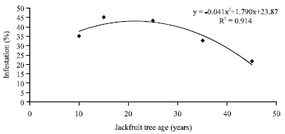 Image for - Evaluation of Relative Host Preference of Batocera rufomaculata De Geer on Different Age Stages of Jackfruit Trees