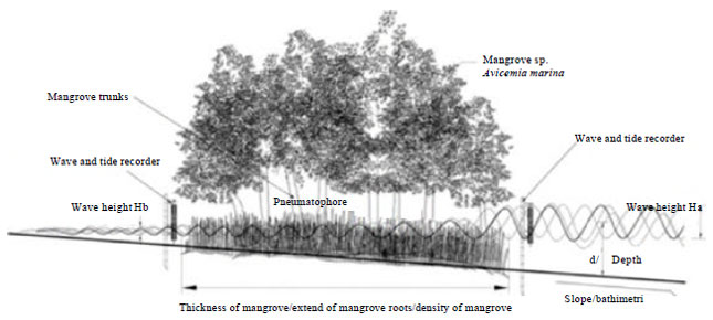 Image for - Wave Attenuation Using the Mangrove Avicenia marina as an Element  of Waterfront Construction