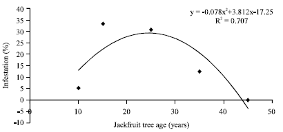 Image for - Evaluation of Relative Host Preference of Batocera rufomaculata De Geer on Different Age Stages of Jackfruit Trees